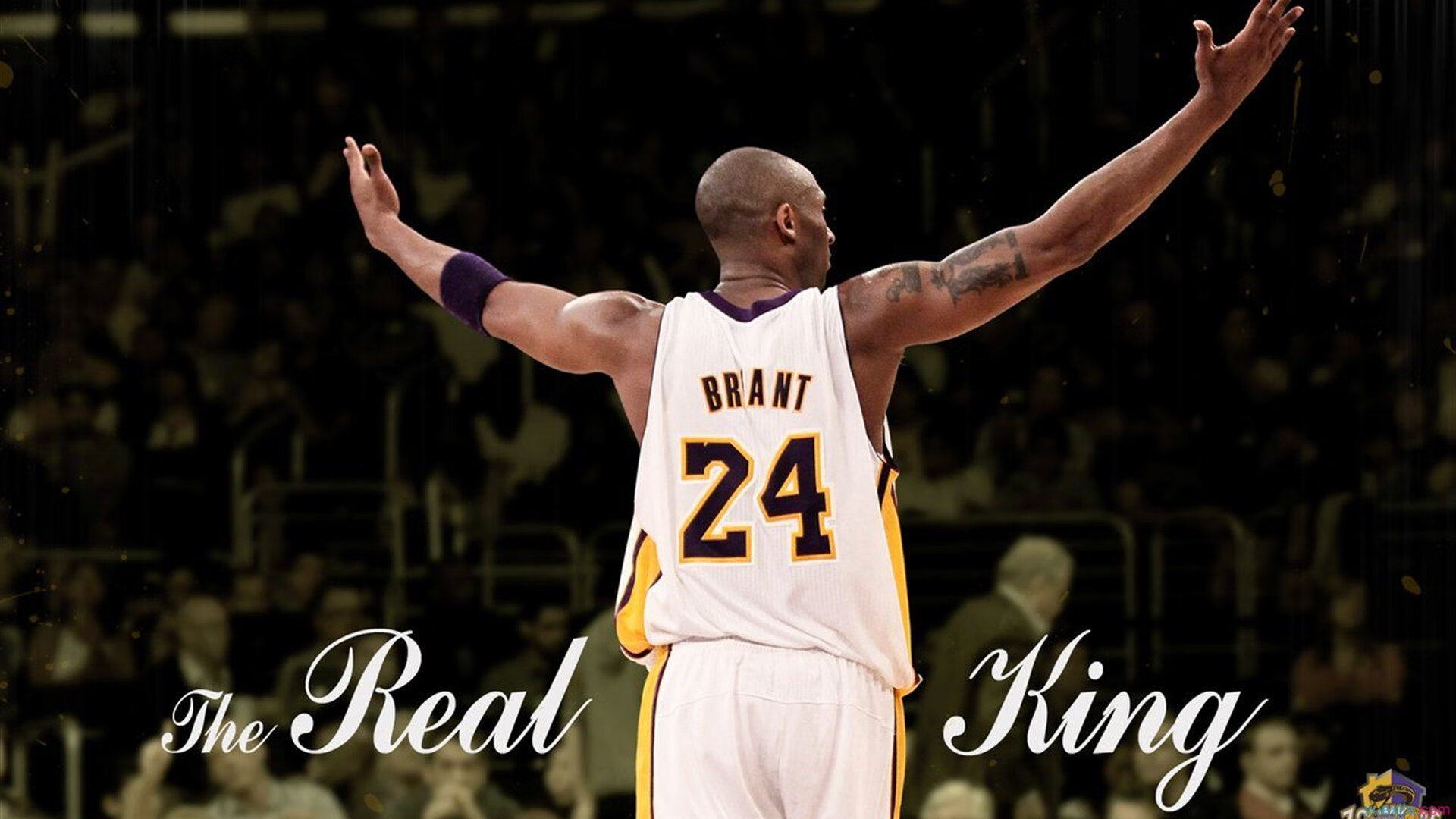 逆转之夜，武切维奇高光闪耀，快船绝地反击力克辽宁